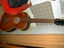 Levin1951 Small.jpg